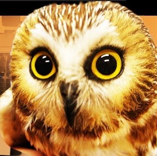 Animal Eye Center - Rocklin , United States