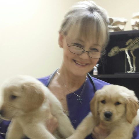 Westcliff Animal Hospital - Fort Worth , United States