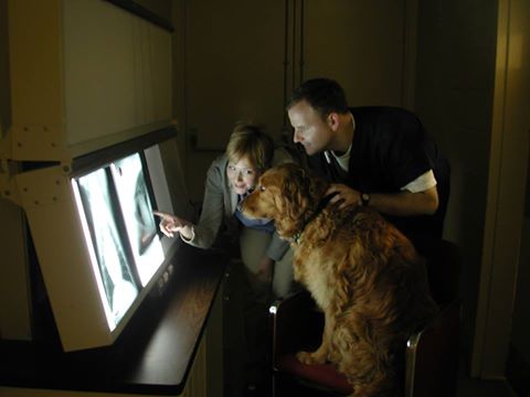 Mc Crory Veterinary Services - Brandon , United States