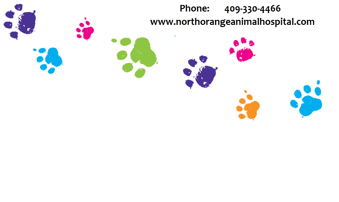 North Orange Animal Hospital - Orange , United States