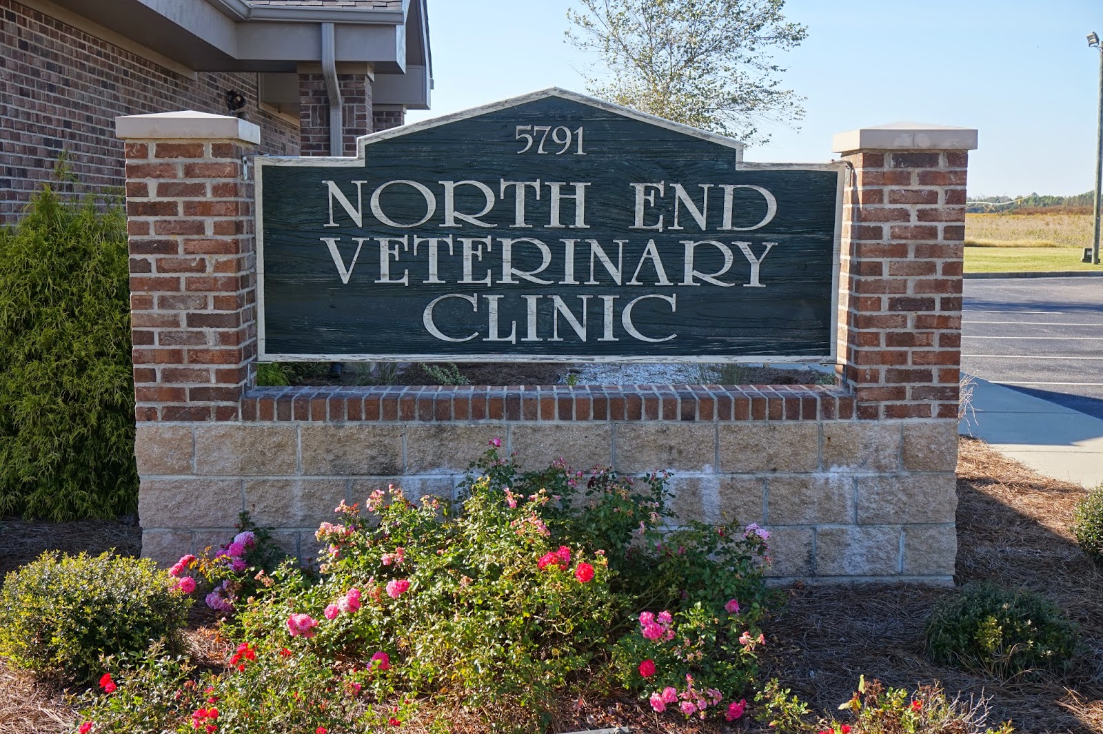 Front Porch Veterinary Clinic - Lumberton , United States