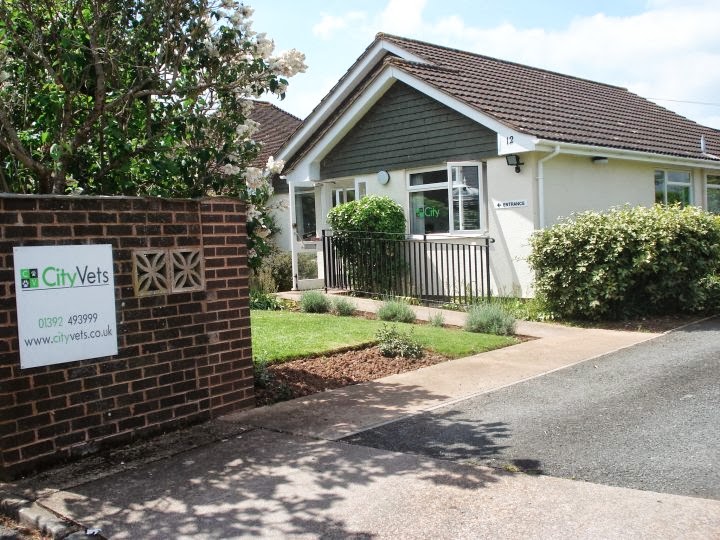 City Vets In Alphington - Exeter , United Kingdom