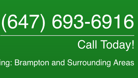 Lakeridge Animal Hospital - Brampton , Canada