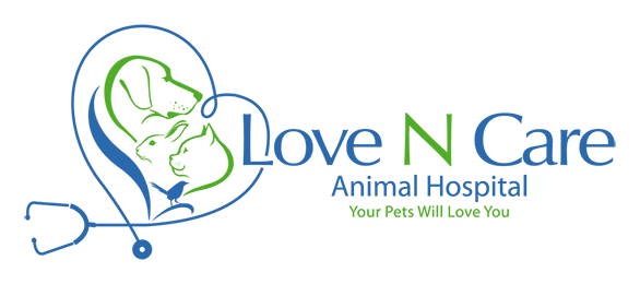 Ravenna Rd Animal Hospital In Twinsburg - Twinsburg , United States