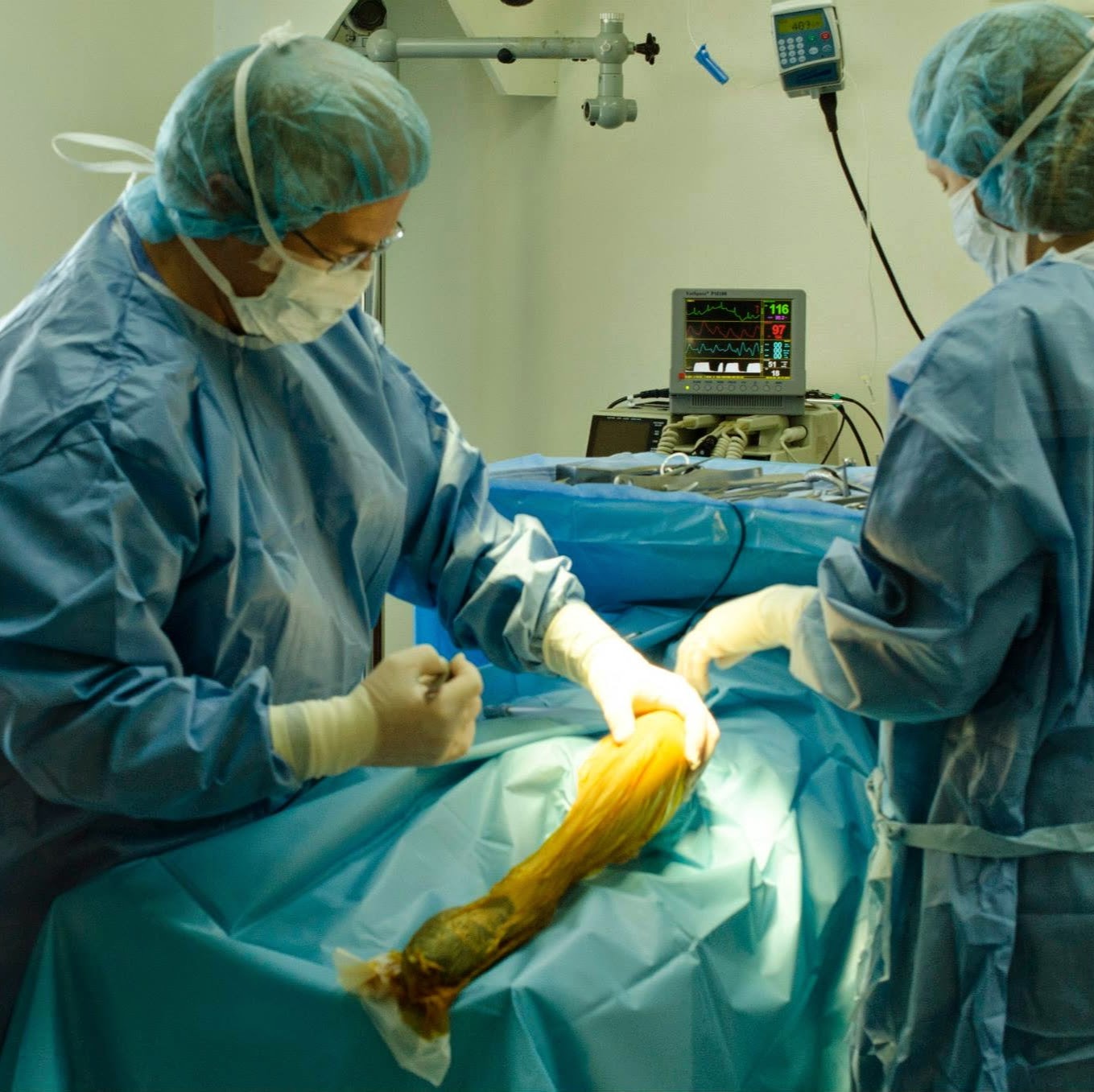 Veterinary Medical And Surgical Hospital Of Topeka - Topeka , United States