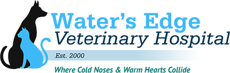 Waters Edge Veterinary Hospital - Groveland , United States
