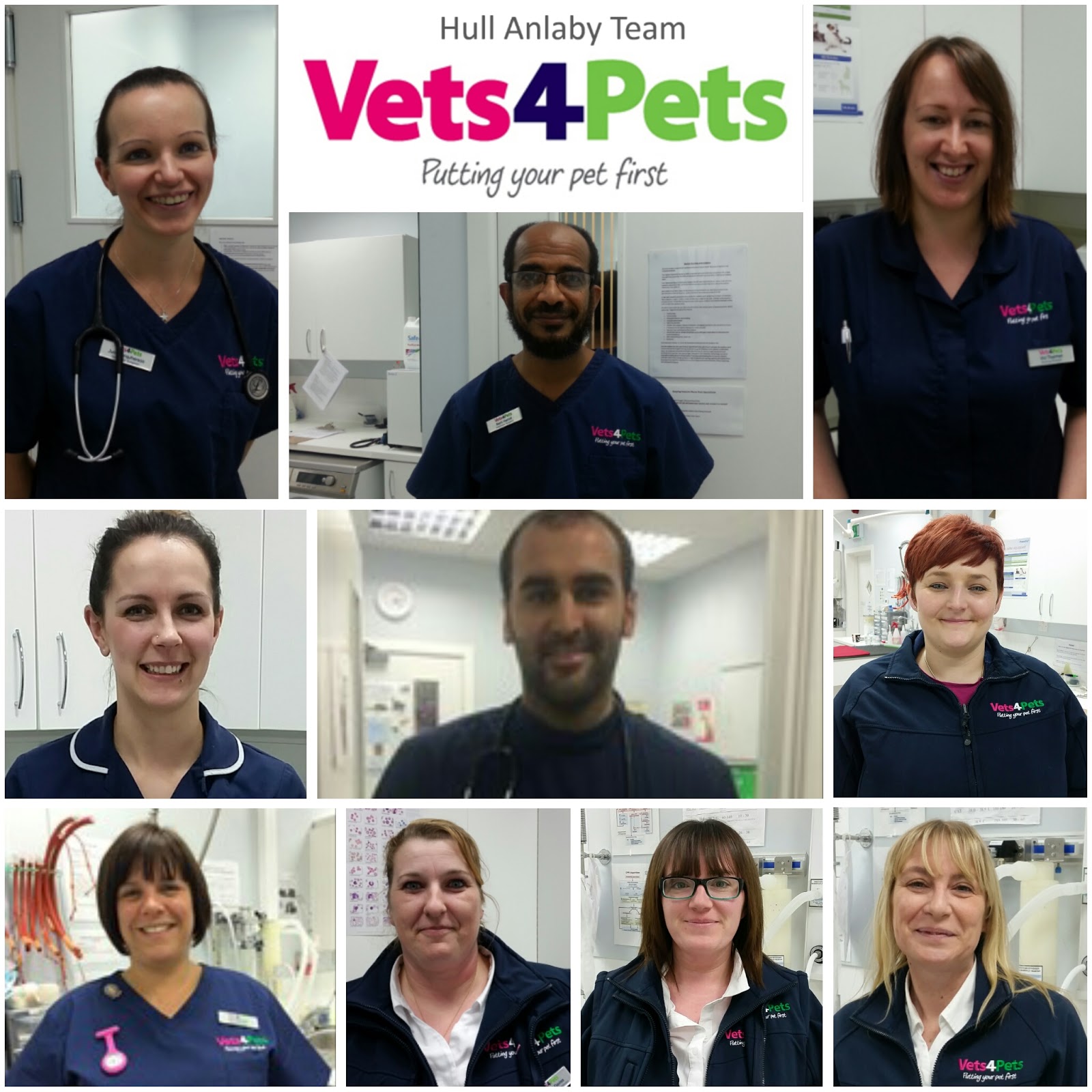 Vets For Pets Hull Anlaby - Hull , United Kingdom