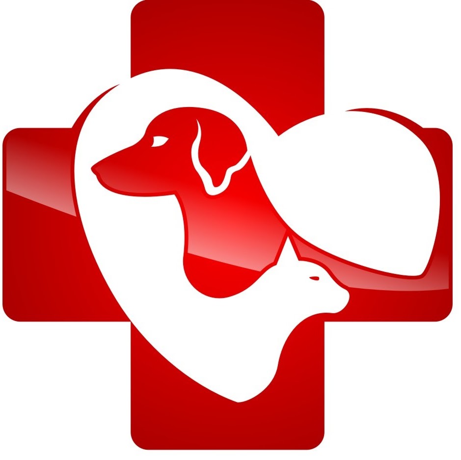 Mississippi Mills Animal Hospital - Almonte , Canada