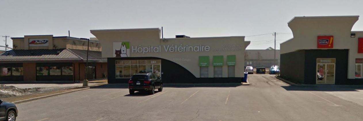 Hôpital Vétérinaire St Eustache / Deux Montagnes Vet Et Nous - Saint-Eustache , Canada