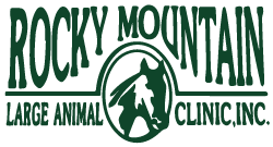 Arrowhead Veterinary Clinic - Benjamin , United States