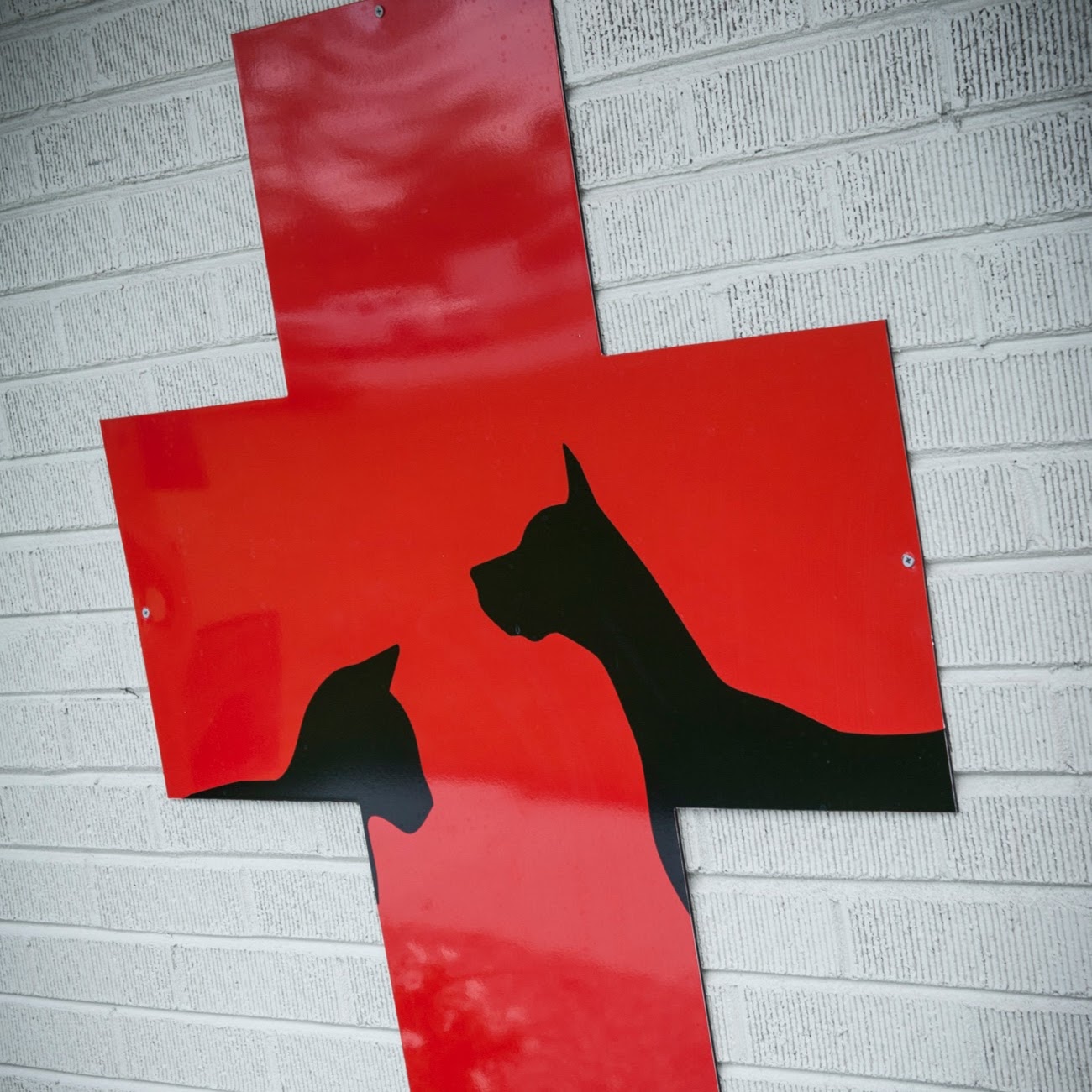 Holly Ridge Veterinary Hospital - Holly Ridge , United States