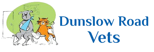 Dunslow Road Veterinary Surgery - Scarborough , United Kingdom
