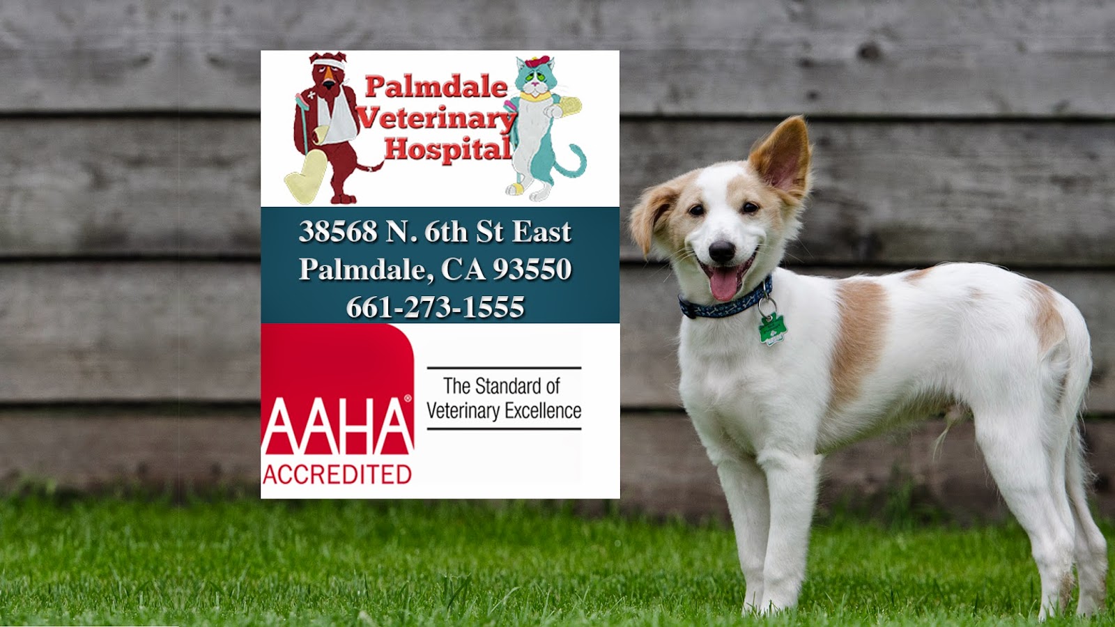 Palmdale Veterinary Hospital - Palmdale , United States
