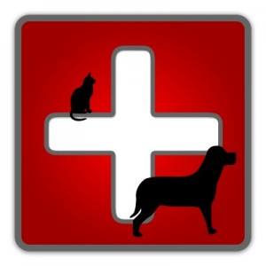 Chimney Lakes Animal Hospital - Jacksonville , United States