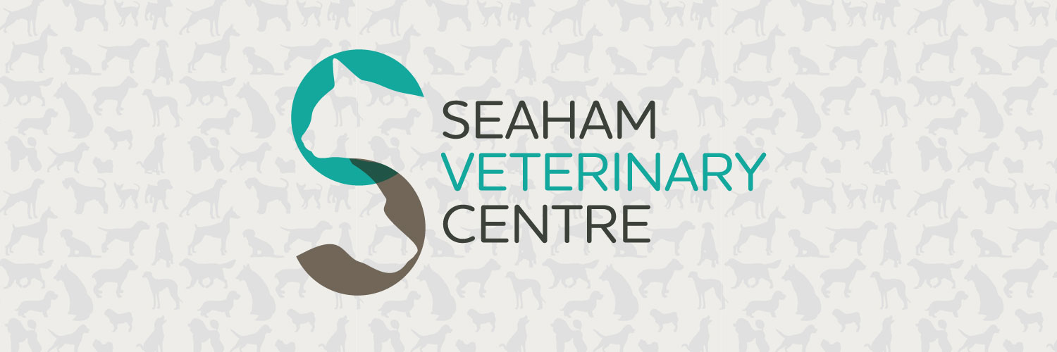 Seaham Vets - Seaham , United Kingdom