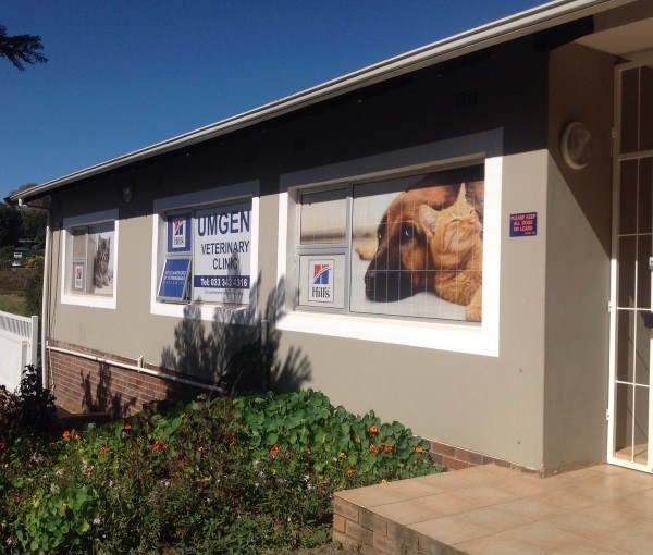 Veterinary House Hilton - Hilton , South Africa