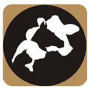 New Hope Veterinary Clinic - Joelton , United States