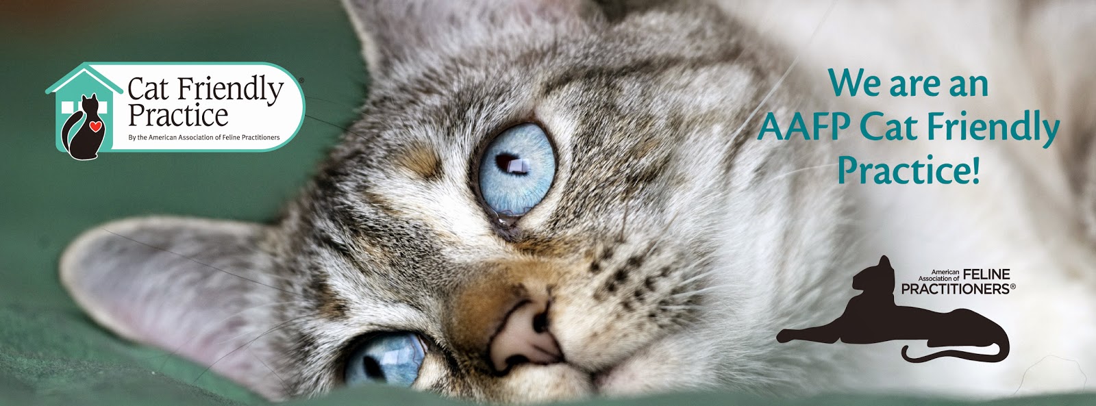 Daniel Island Animal Hospital - Daniel Island , United States