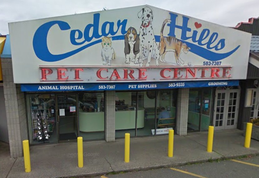 Cedar Hills Animal Hospital 12863 96 Avenue Surrey Reviews and