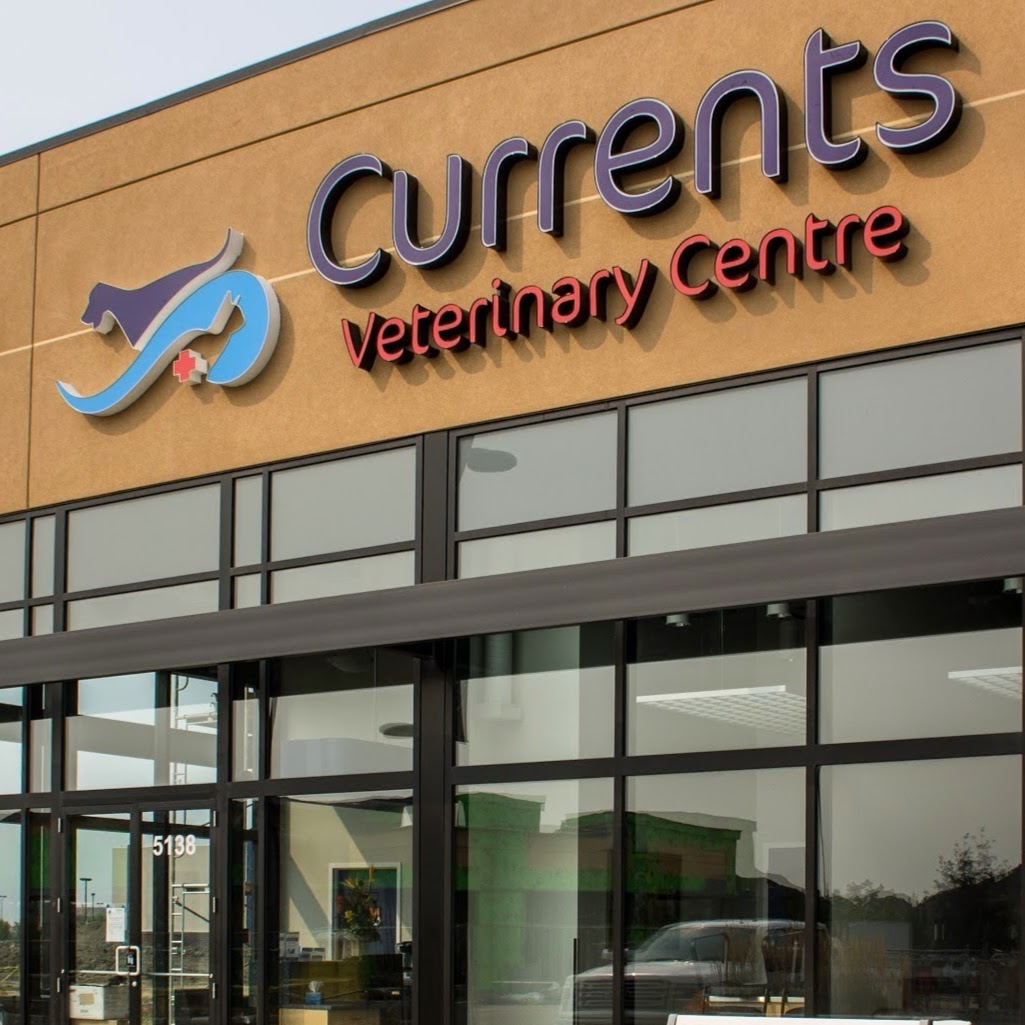 Currents Veterinary Centre - Edmonton , Canada
