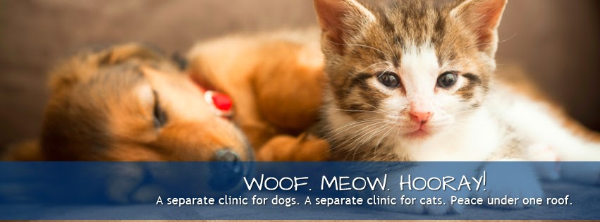 Best Friends Veterinary Medical Center - Portland , United States