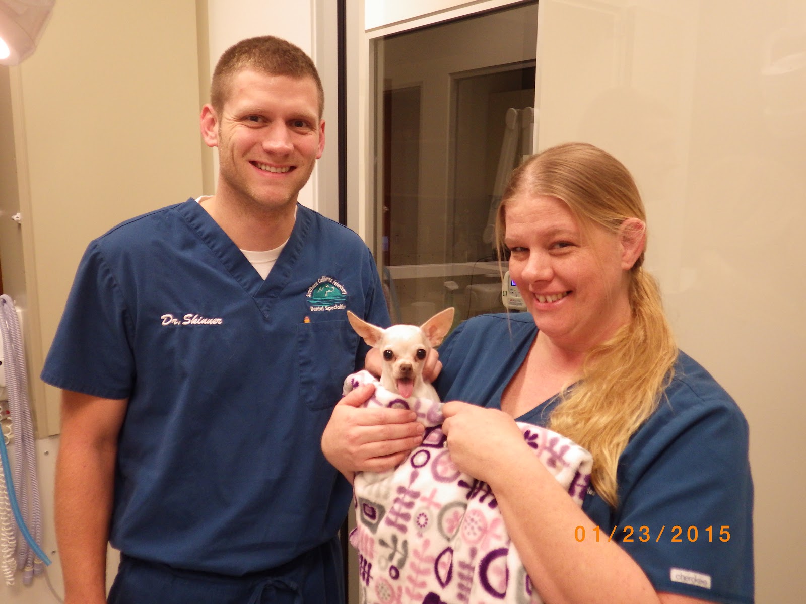 Veterinary Dental Specialties And Oral Surgery - San Diego , United States