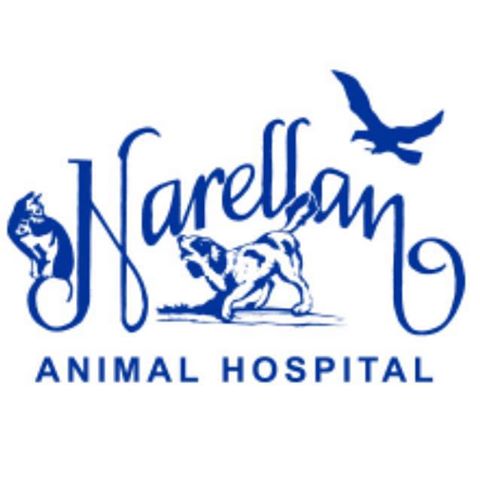 Narellan Animal Hospital - Narellan , Australia