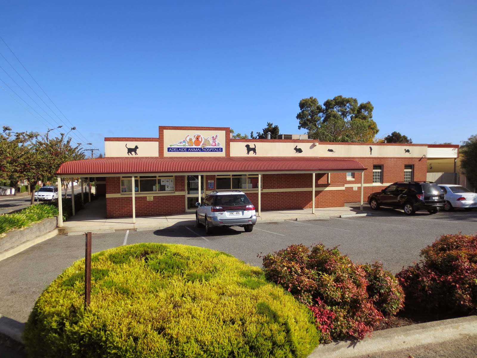 Adelaidevet Prospect - Prospect , Australia