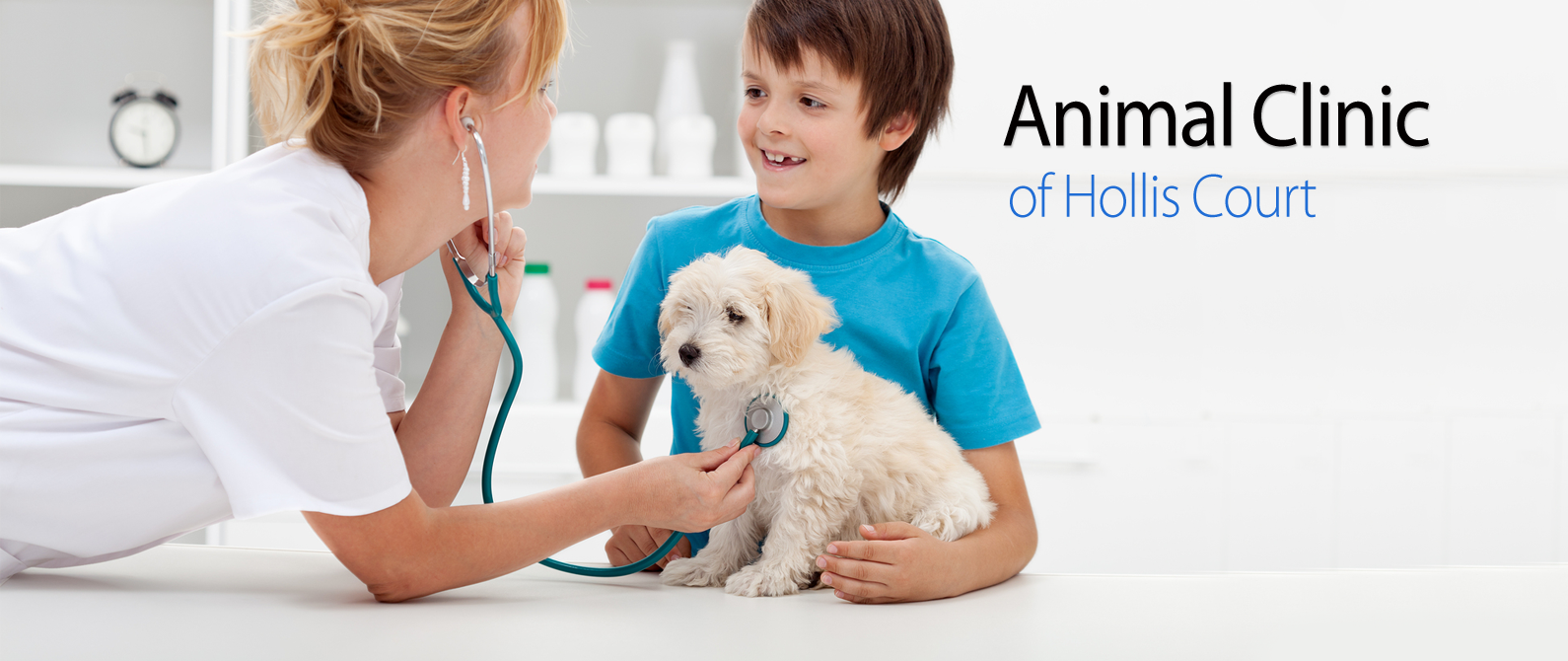 Animal Clinic Of Hollis Court - Flushing , United States
