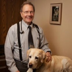 Companion Skokie - Skokie , United States