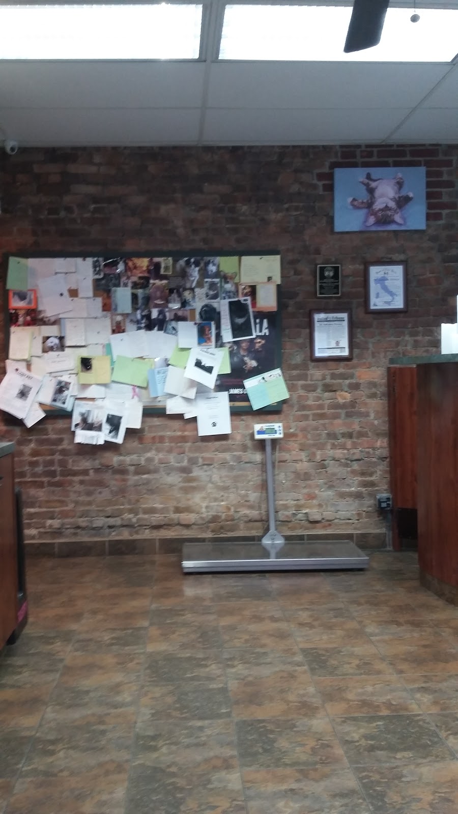 Brooklyn Veterinary Group - Brooklyn , United States