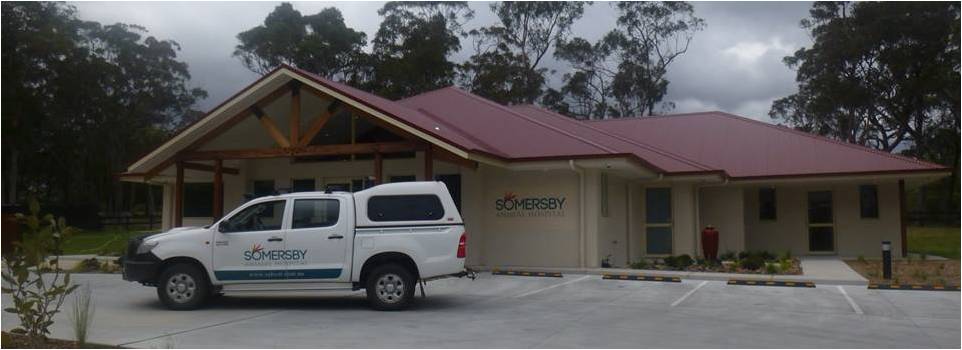 Somersby Animal Hospital - Somersby , Australia