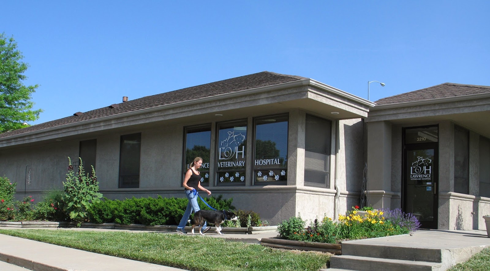 Lawrence Veterinary Hospital - Lawrence , United States