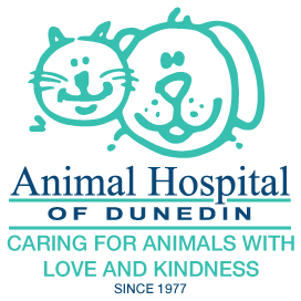 Animal Hospital Of Dunedin - Dunedin , United States