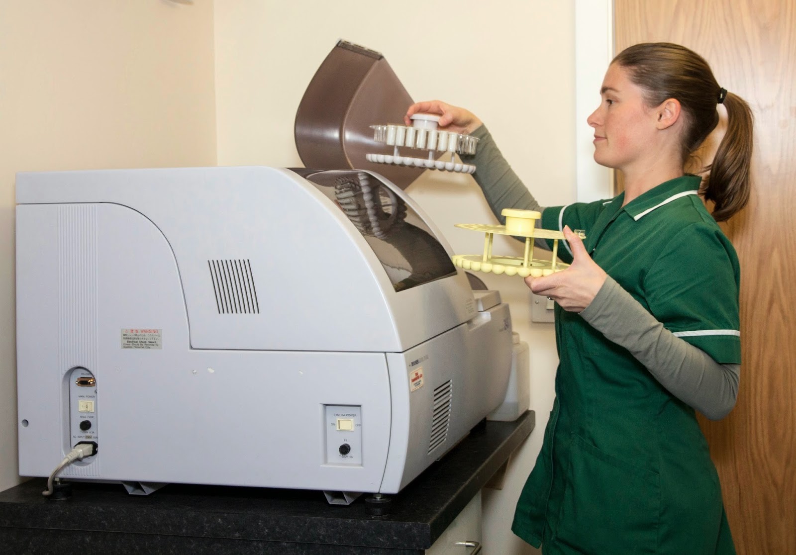 Spring Corner Veterinary Centre - Bournemouth , United Kingdom