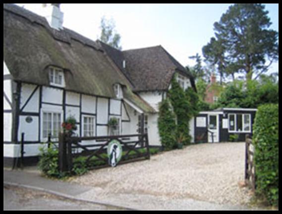 Midforest Veterinary Practice - Lyndhurst , United Kingdom