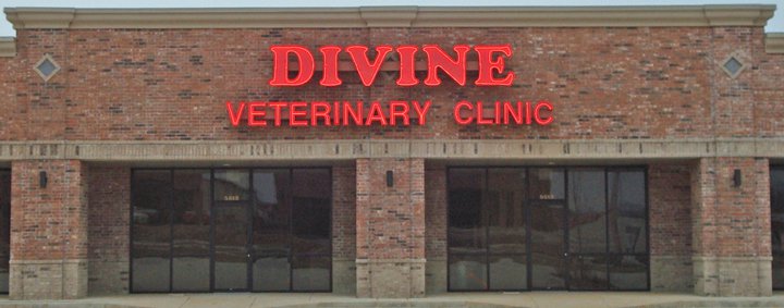 Divine Veterinary Clinic - Ozark , United States