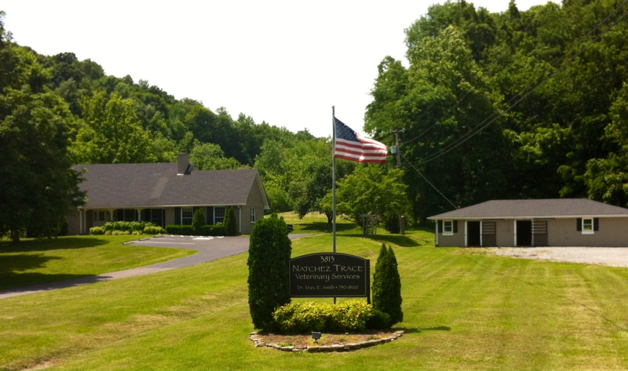 Natchez Trace Veterinary Services Franklin - Franklin , United States