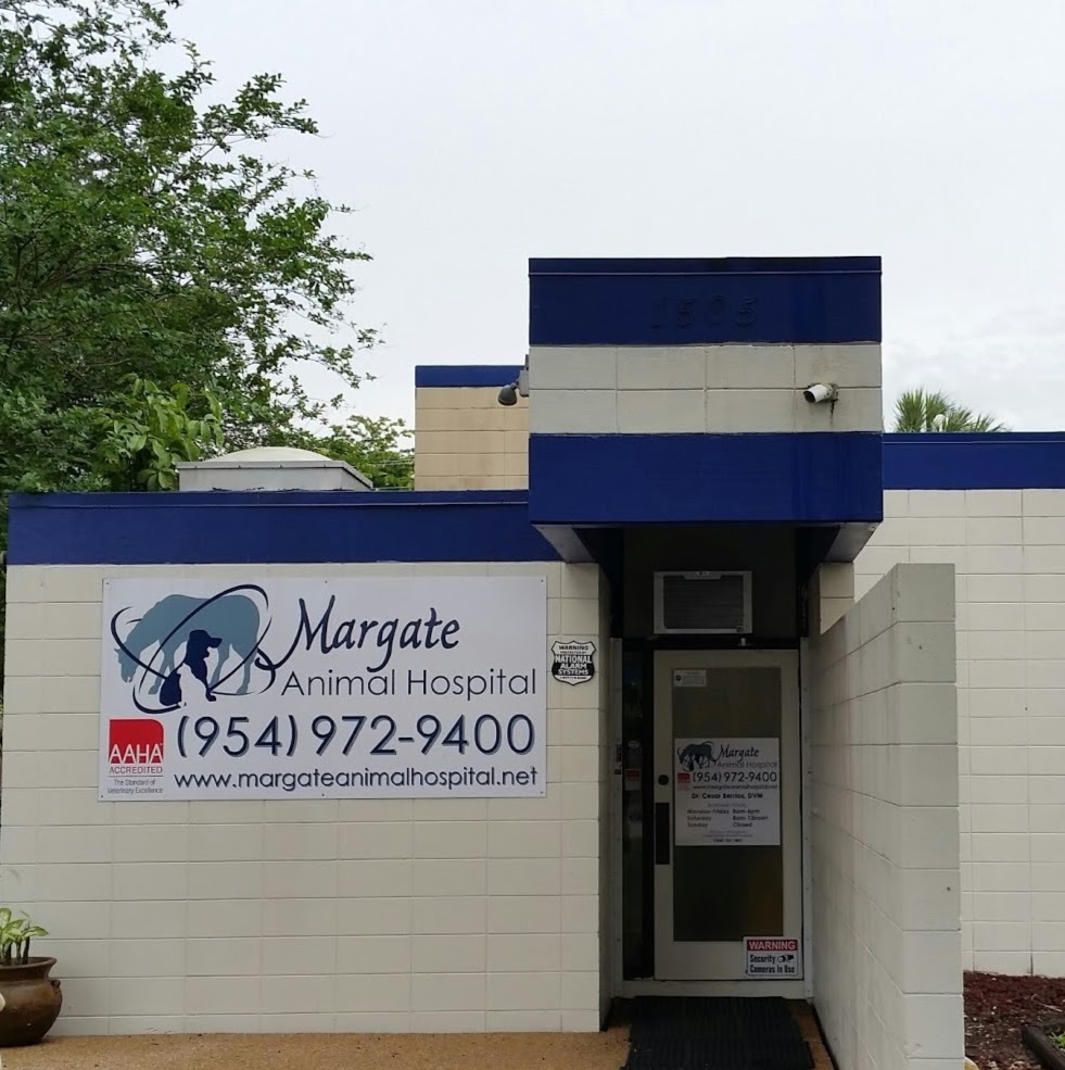 Margate Animal Hospital - Margate , United States