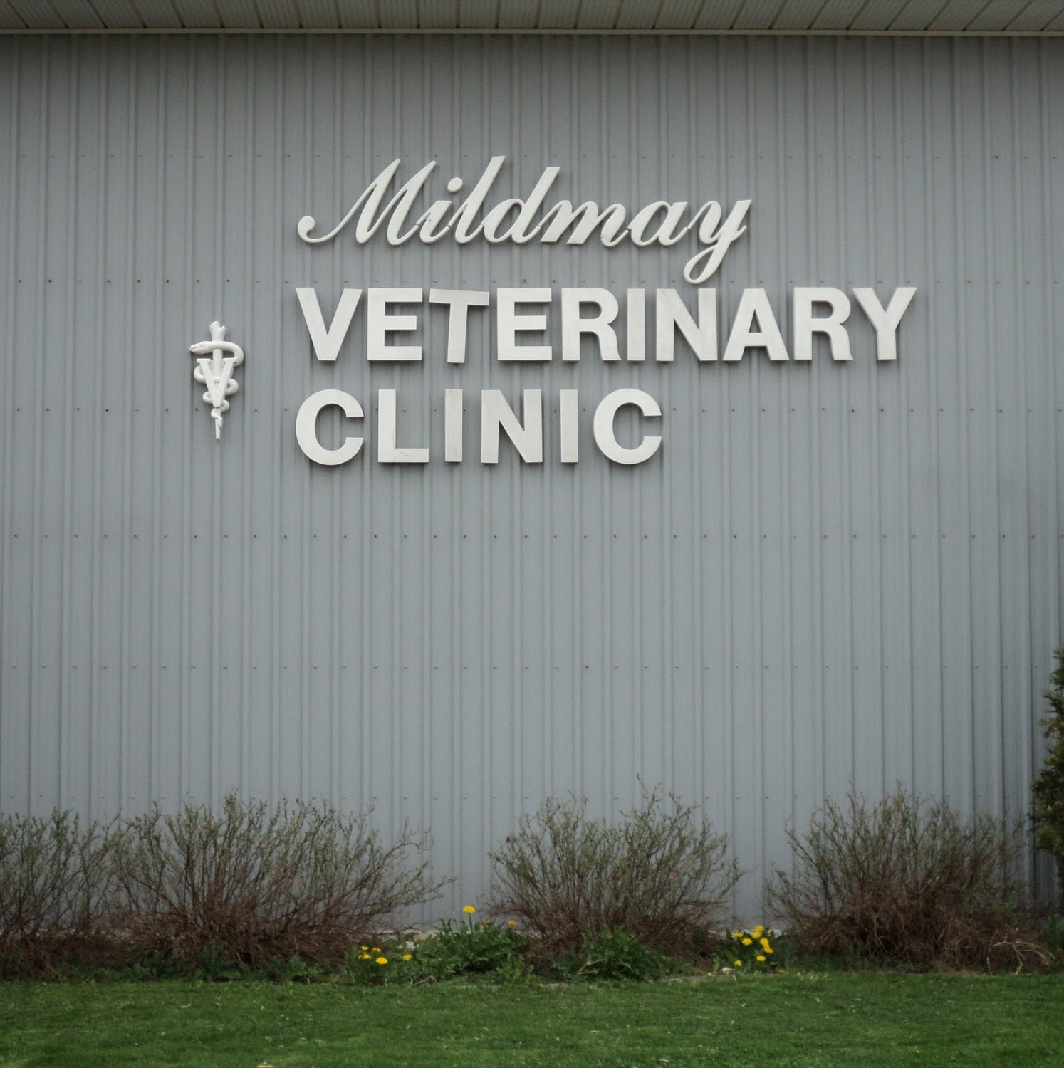 Mildmay Veterinary Clinic - Mildmay , Canada