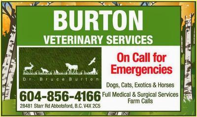 Burton Veterinary Services 28481 Starr Road Abbotsford Reviews