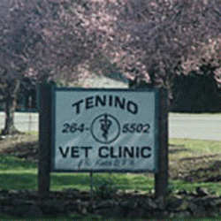 Tenino Veterinary Clinic - Tenino , United States