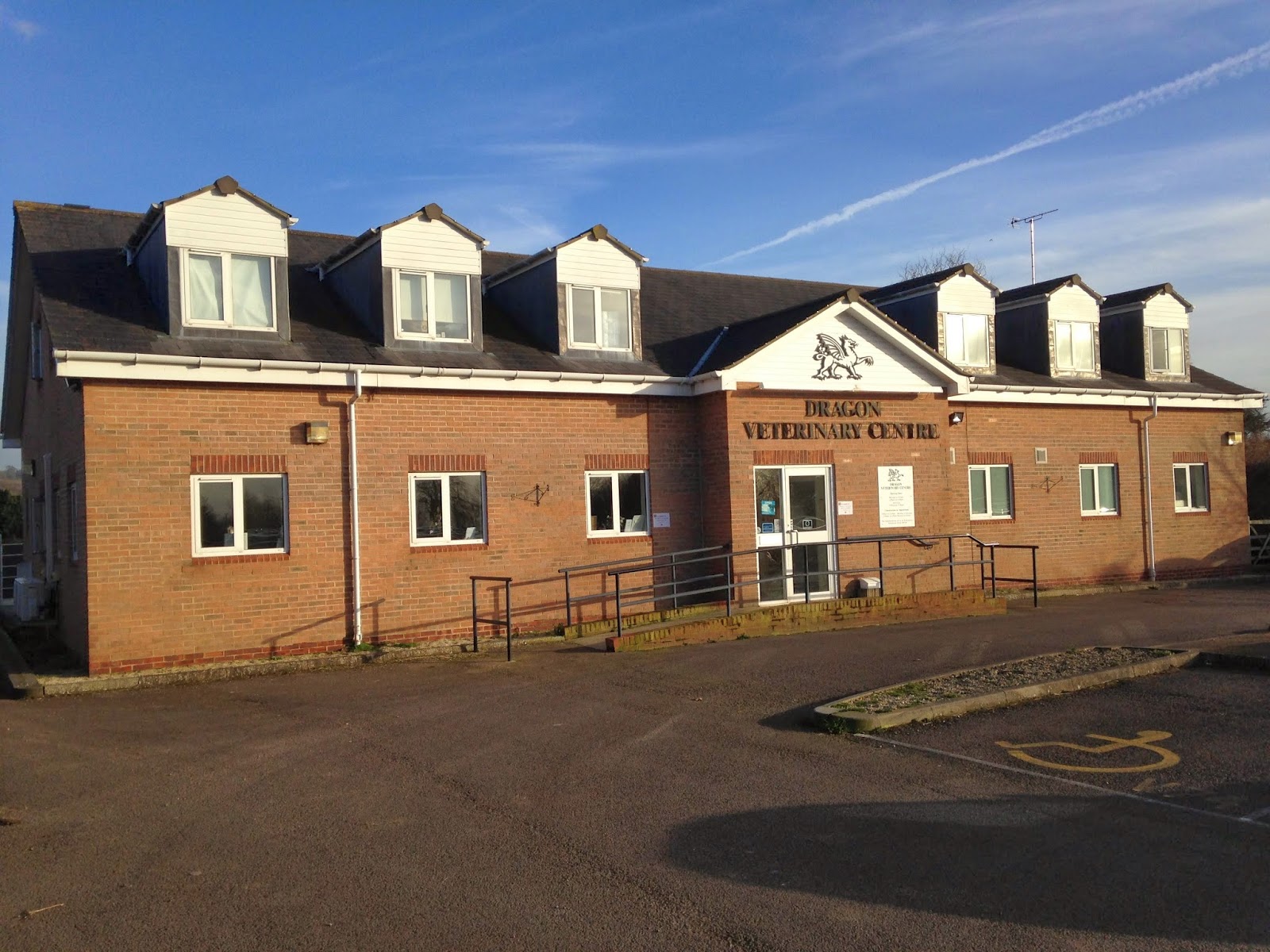 Dragon Vets Prestbury Park - Cheltenham , United Kingdom