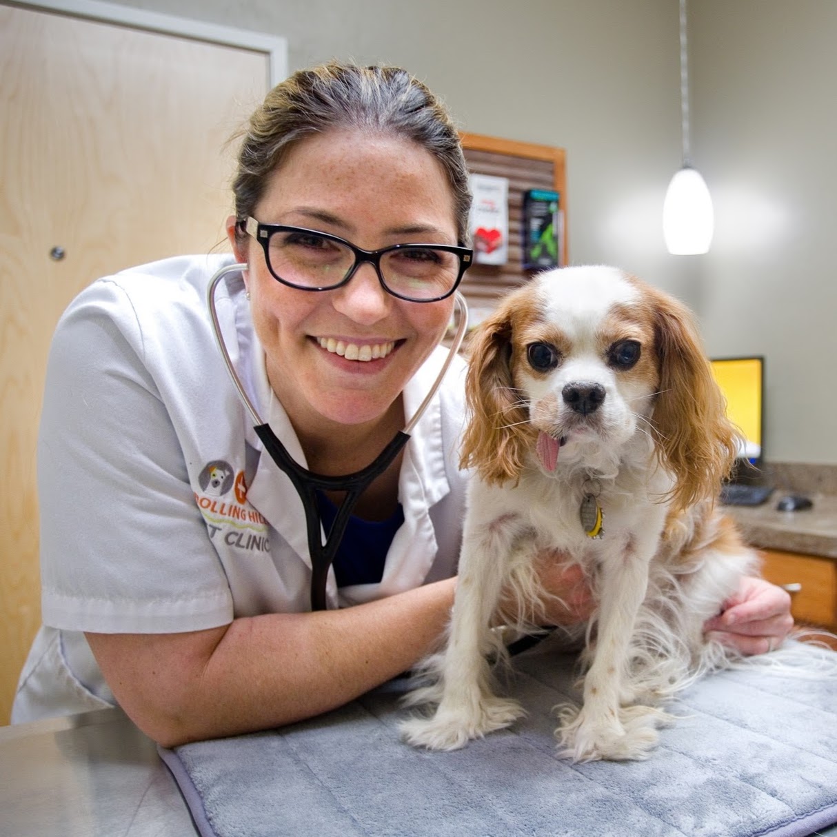 Rolling Hills Pet Clinic - Tucson , United States