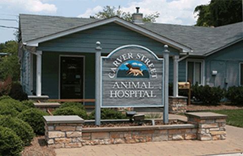 Carver Street Animal Hospital - Durham , United States