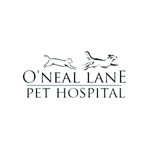 Oneal Lane Pet Hospital - Baton Rouge , United States