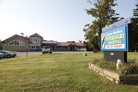 Akron-Medina Veterinary Hospital & Pet Resort - Medina , United States