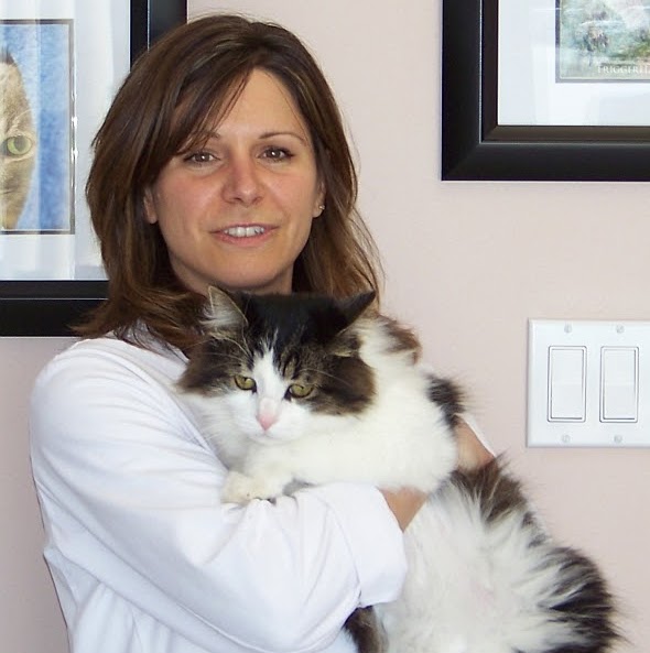 Avonlea Animal Hospital - Mississauga , Canada
