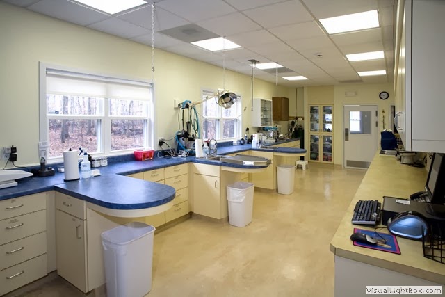 A Cat Clinic - Boyds , United States