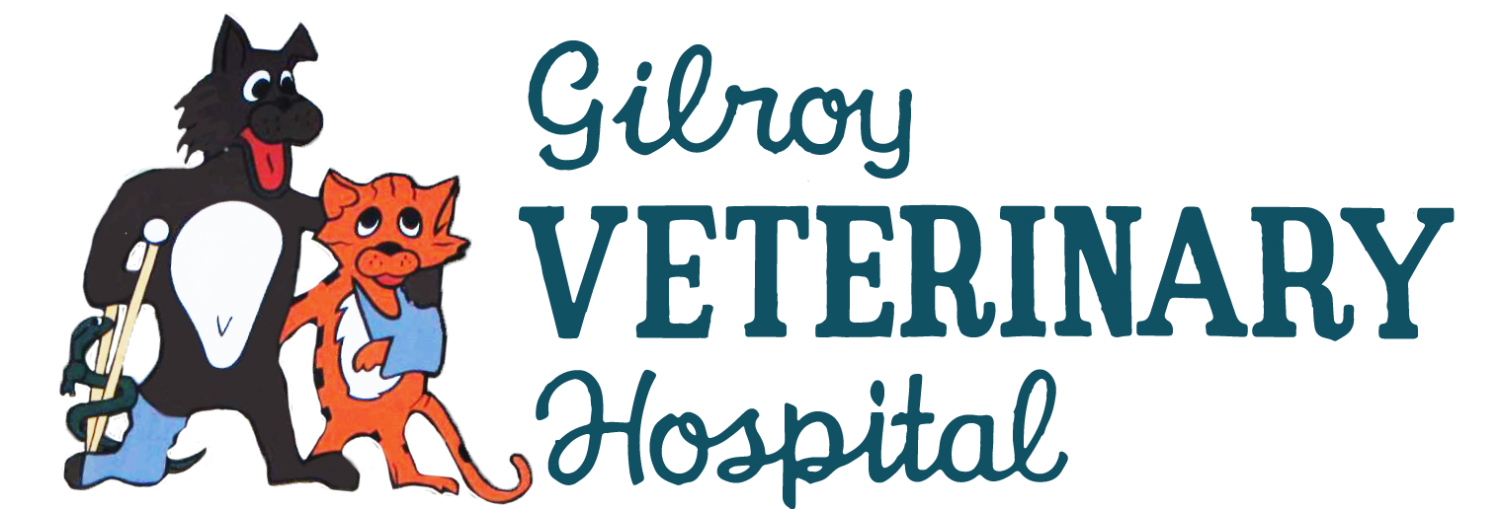Gilroy Veterinary Hospital - Gilroy , United States